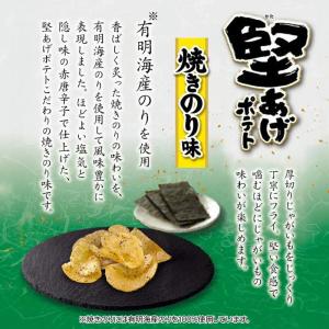 カルビー 堅あげポテト 焼きのり 65g × ...の詳細画像2