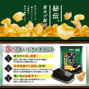 カルビー 堅あげポテト 焼きのり 65g × ...の詳細画像3