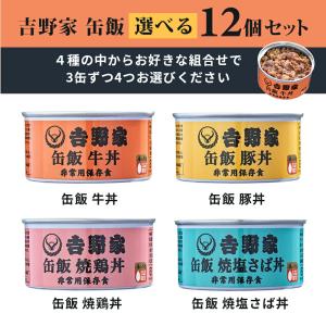 吉野家 缶飯 選べる 12缶 まとめ買いの詳細画像1