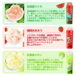 ゴールドパック 凍らせておいしい フルーツバー...の詳細画像4
