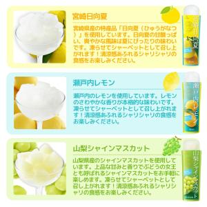 ゴールドパック 凍らせておいしい フルーツバー...の詳細画像5