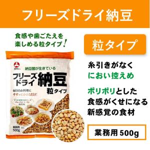 旭松食品 フリーズドライ 納豆 粒タイプ 業務...の詳細画像1