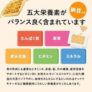 旭松食品 フリーズドライ 納豆 粒タイプ 業務...の詳細画像2