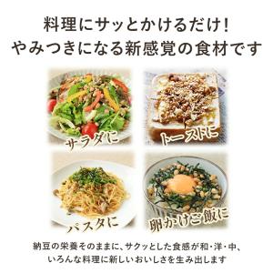 旭松食品 フリーズドライ 納豆 ひきわりタイプ...の詳細画像3
