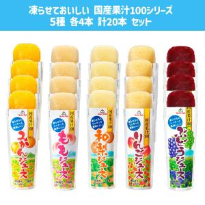 ゴールドパック 凍らせておいしい 国産果汁10...の詳細画像1