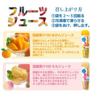 ゴールドパック 凍らせておいしい 国産果汁10...の詳細画像2