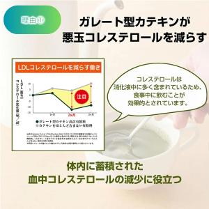 伊藤園 濃いみどり まるごと健康 粉末茶 10...の詳細画像3