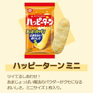 亀田製菓 ミニ せんべい 個包装 おつまみ 詰...の詳細画像2