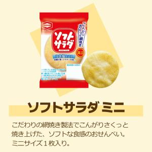 亀田製菓 ミニ せんべい 個包装 おつまみ 詰...の詳細画像4