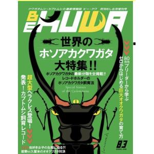 BE-KUWA 92 日本のミヤマクワガタ大特集!! : ちいさなクワガタ屋
