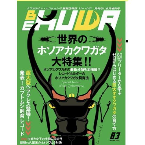 BE-KUWA 83号　世界のホソアカクワガタ大特集!!