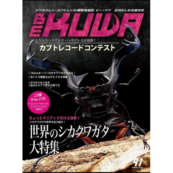 BE-KUWA 91  世界のシカクワガタ 大特集!!【他商品購入の場合、同梱無料】