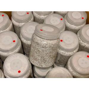 神長きのこ園のグリードSL 6個 神長きのこ園 グリードSL産卵ボトルを導入 | BreedRoom703