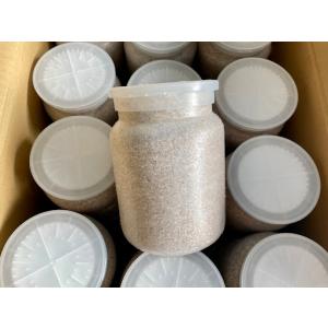 神長きのこ園【S8カンタケ：PP1400ボトル】オオクワガタのギネス