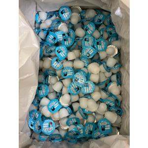 【プロゼリー16ｇ 1500個入】産卵セット前の栄養補給・昆虫ゼリーの定番KBファーム