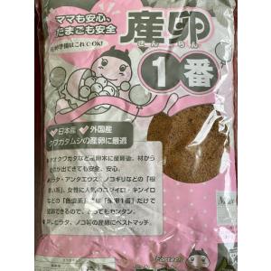 【クワガタの産卵定番】産卵1番5L 産卵用超微粒...の商品画像