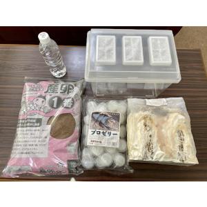 オオクワガタ産卵セット（オールインワン）飼育ケース　産卵マット　カワラ材