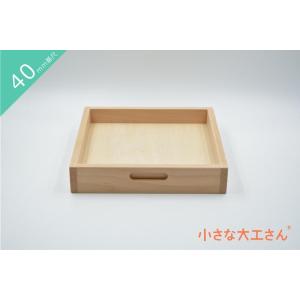 ご予約】童具館 積み木 WAKU-BLOCK45 H0 立方体+直方体 童具共育付き