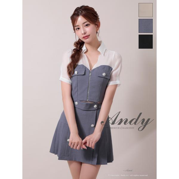 【取り寄せ商品】Andy アンディ 半袖 セットアップ フロントジップ バイカラー プリーツ フレア...