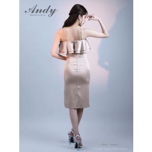 【取り寄せ商品】andy アンディ 高級 ブラ...の詳細画像5
