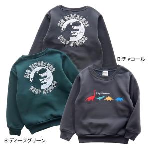 【メール便送料無料】男の子 子供服 裏起毛 恐...の詳細画像2