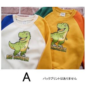 【メール便送料無料】男の子 子供服 裏起毛 恐...の詳細画像4