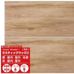 LIXIL 外床タイプ ピエトラクォーツ IPF-600/PTQ-11 600角平 LIXIL 外床タイプ ピエトラクォーツ IPF-600/PTQ-11 600角平
