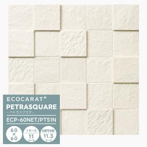 エコカラットプラス ペトラスクエアー ECP-60NET/PTS1N
