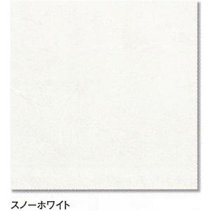 スーパーマーブル 大理石調 磨き 鏡面 300角...の商品画像