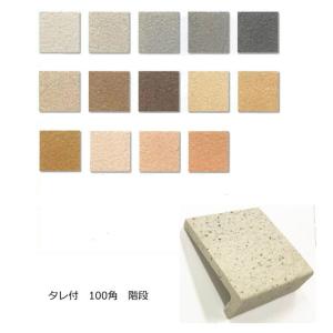 タレ 階段タイル 磁器床タイル 100角 タレ付...の商品画像