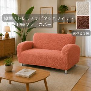 ソファカバー 2人掛用 肘掛けタイプ 洗濯 フィット式 ストレッチ ずれない 縦横伸縮 オールシーズン用 ソファー保護 ソファーカバー