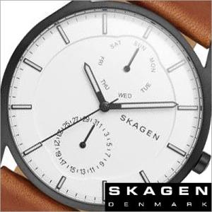 【BOX訳あり】スカーゲン/SKAGEN/クオーツ/アナログ表示/メンズ腕時計/SKW6317