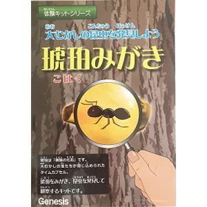 体験キットシリーズ (琥珀みがき) 虫入り琥珀をみがくキット