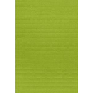 エスケント 色画用紙 ミューズコットン 厚口 A4 わかくさ