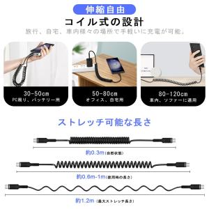 Viviber USB-C/Type-C to...の詳細画像1