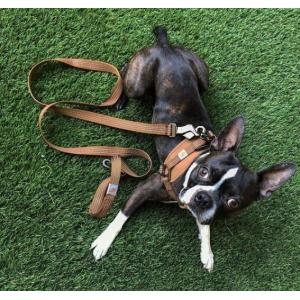 カーハート【carhartt】DOG LEASH ドッグリーシュ リード 紐 犬 ペット