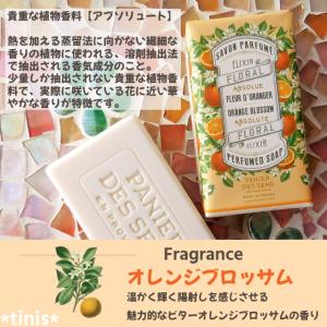パニエデサンス アブソリュート オレンジブロッ...の詳細画像4