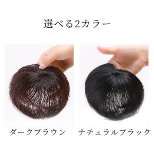 頭頂部 ウィッグ 部分ウィッグ ヘアピース 部...の詳細画像5