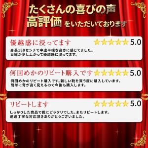 シークレットインソール インソール 中敷き 身...の詳細画像1