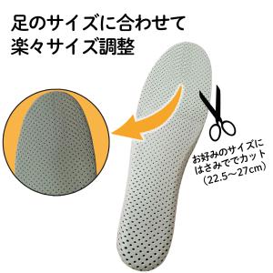 シークレットインソール インソール 中敷き 身...の詳細画像5