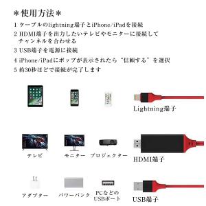 HDMI 変換ケーブル iphone ipad...の詳細画像2