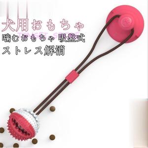 歯の消しゴム 犬用品 の商品一覧 ペット用品 生き物 通販 Yahoo ショッピング