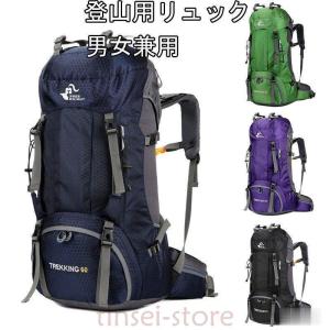 THE NORTH FACE（ザ ノースフェイス） 登山・トレッキングバッグ