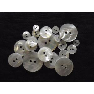 貝釦 皿 白蝶 11.5mm バラ 天然素材 ...の詳細画像3