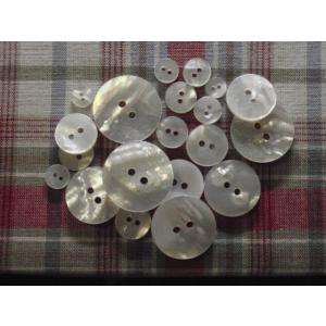 貝釦 皿 白蝶 11.5mm バラ 天然素材 ...の詳細画像5