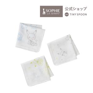 Pokemon（ポケモン） モンポケ ギフトセット ピカチュウ ポッチャマ 4