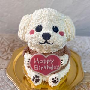ケーキ 誕生日 トイプードル 犬 立体 子ども 子供 かわいい センイル
