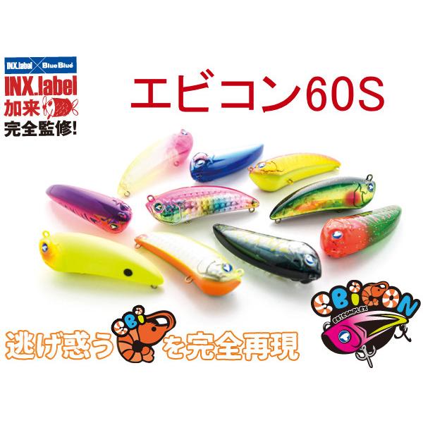 エビコン60S ブルーブルー / ネコポス便