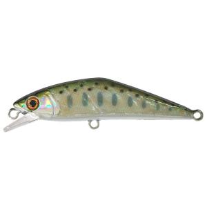 D-コンタクト 63 アワビ ヤマメアワビ スミス / ネコポス便OK