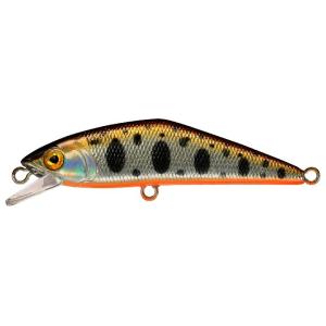 D-コンタクト 50 タイプII ヤマメ箔 スミス / ネコポス便OK